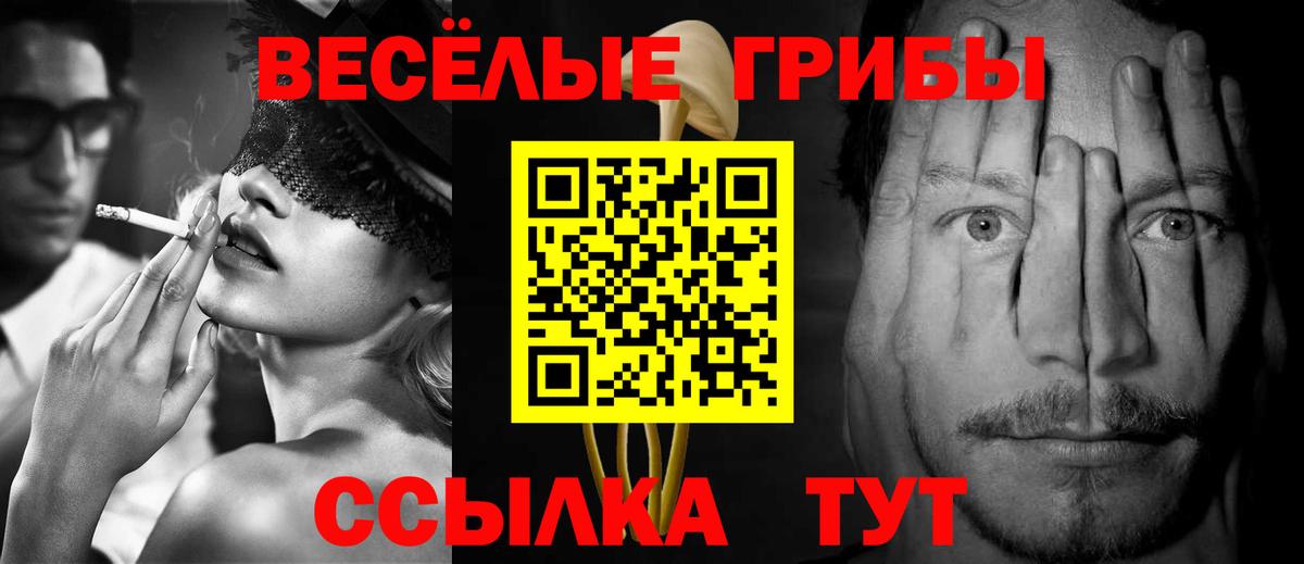 Псилоцибиновые грибы GOLDEN TEACHER  Вход с VPN  Ливны 